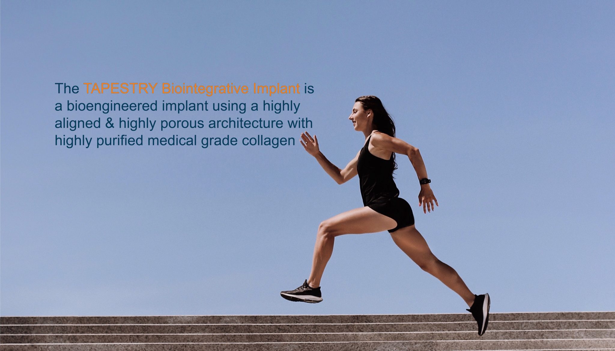 Tapestry main slider v2 Embody