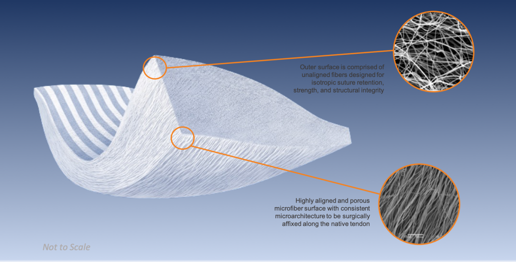 Tapestry Group v1 Embody
