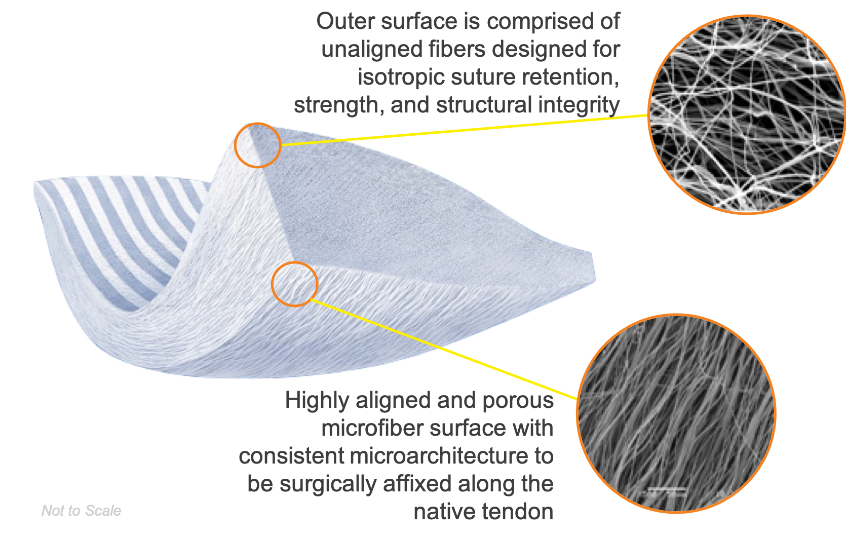 Tapestry Group v6 Embody