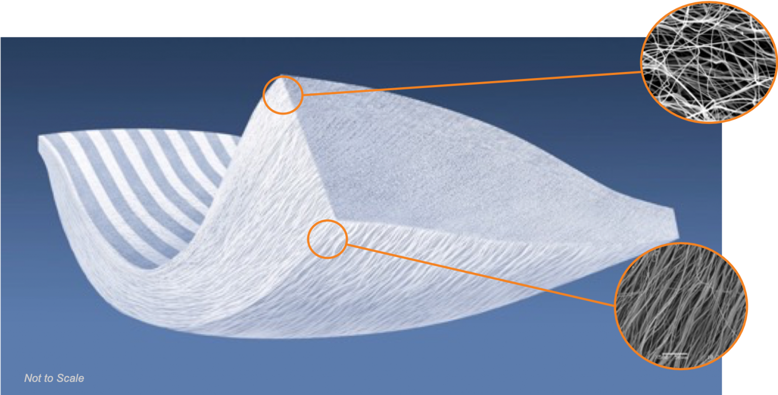 Tapestry Model v1 Embody
