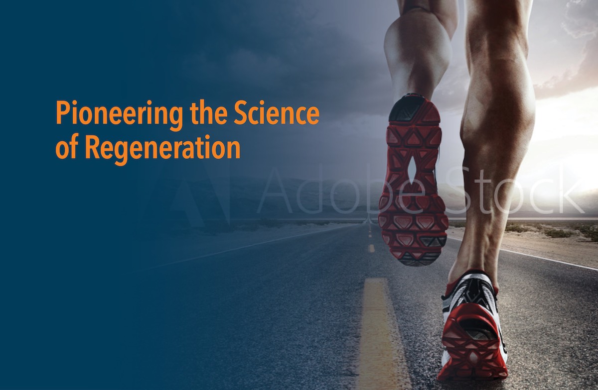 Tapestry Page Slider Embody